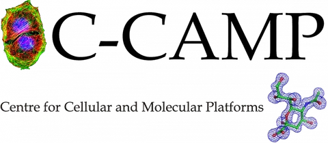 C-CAMP